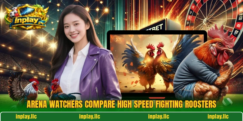 Arena watchers compare high speed fighting roosters