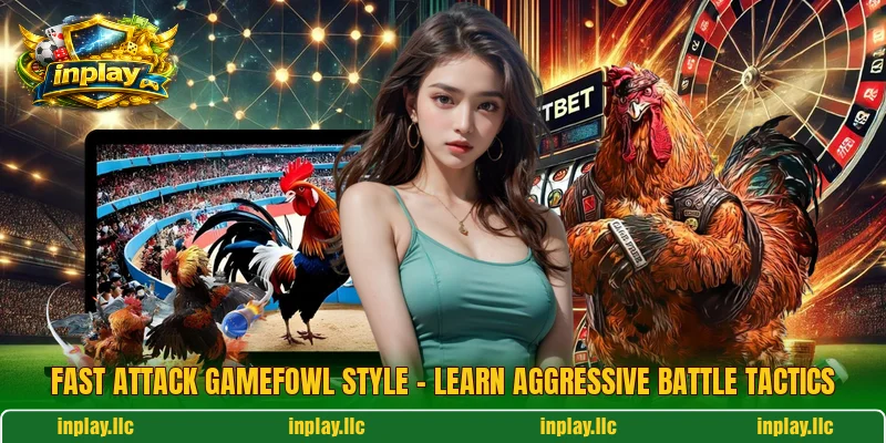 Fast Attack Gamefowl Style – Learn Aggressive Battle Tactics