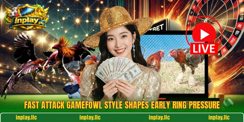 Fast attack gamefowl style shapes early ring pressure